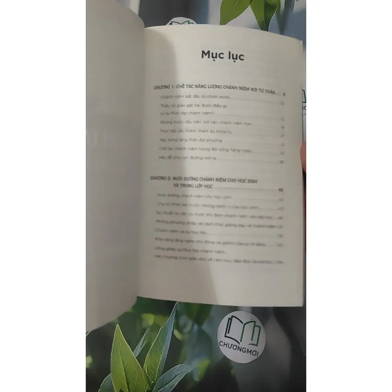 Thầy Cô Giáo Hạnh Phúc Sẽ Thay Đổi Thế Giới 2 - Thích Nhất Hạnh & Katherine Weare 1018932