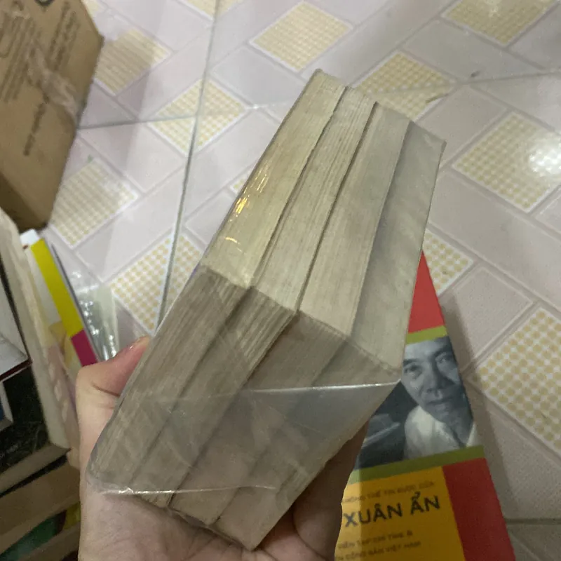 Truyện dân gian Việt Nam chọn lọc  723364