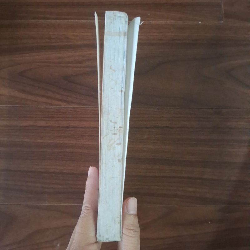 Thập đại mỹ nhân - Triệu phi yến 507991