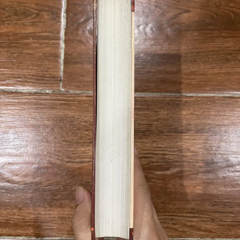 Lịch sử triết học Ấn Độ - Kinh văn của các trường phái triết học Ấn Độ (10) 1001502