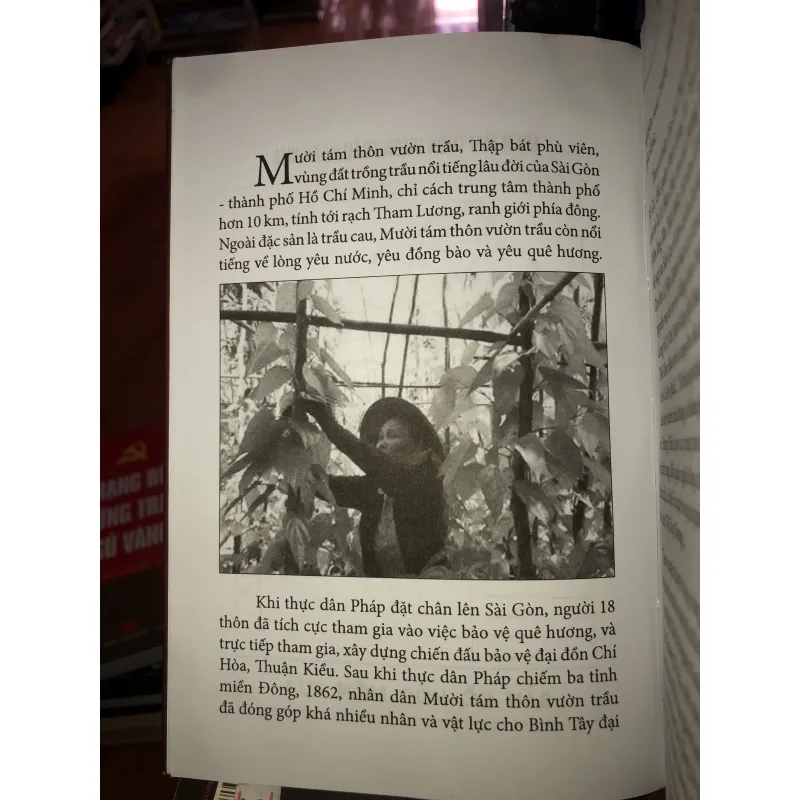 Mười tám thôn vườn trầu - Trần Nhật Vy 992423