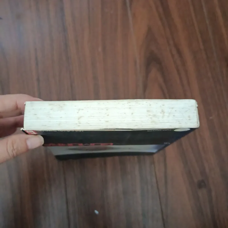 Gomorra cuộc phiêu lưu vào đế chế kinh tế và giấc mơ thống trị của camorra 756814