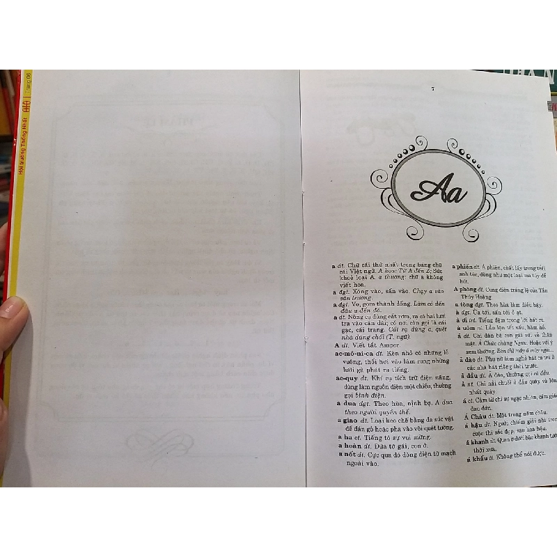 Từ điển Tiếng Việt - Ngôn ngữ Việt Nam 927034