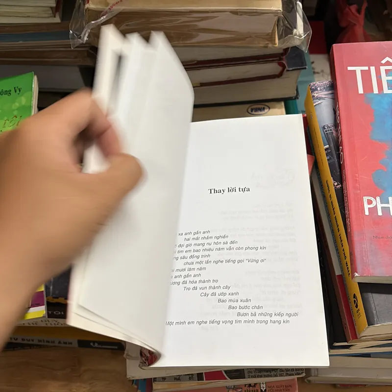 II Tập Truyện Ngắn: Trinh Nữ - Đinh Hoàng Anh - 2012 697818