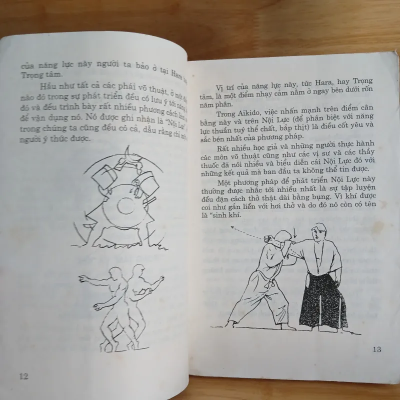 Võ Thuật Aikido - Võ Sư Oratti 957041