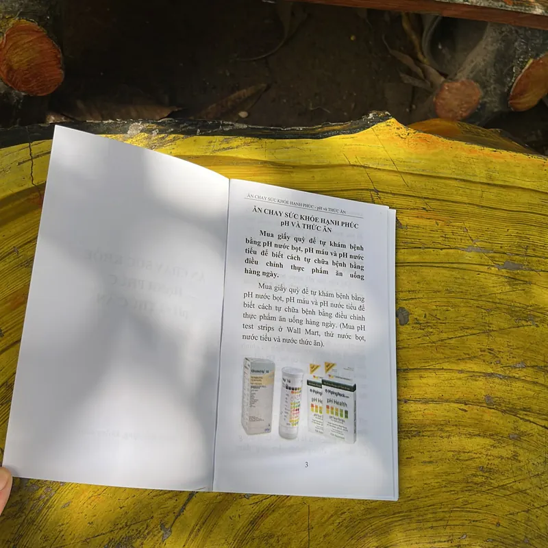  CHỮA UNG THƯ BẰNG DƯỠNG SINH- ĂN CHAY SỨC KHOẺ HẠNH PHÚC pH VÀ THỨC ĂN 718119