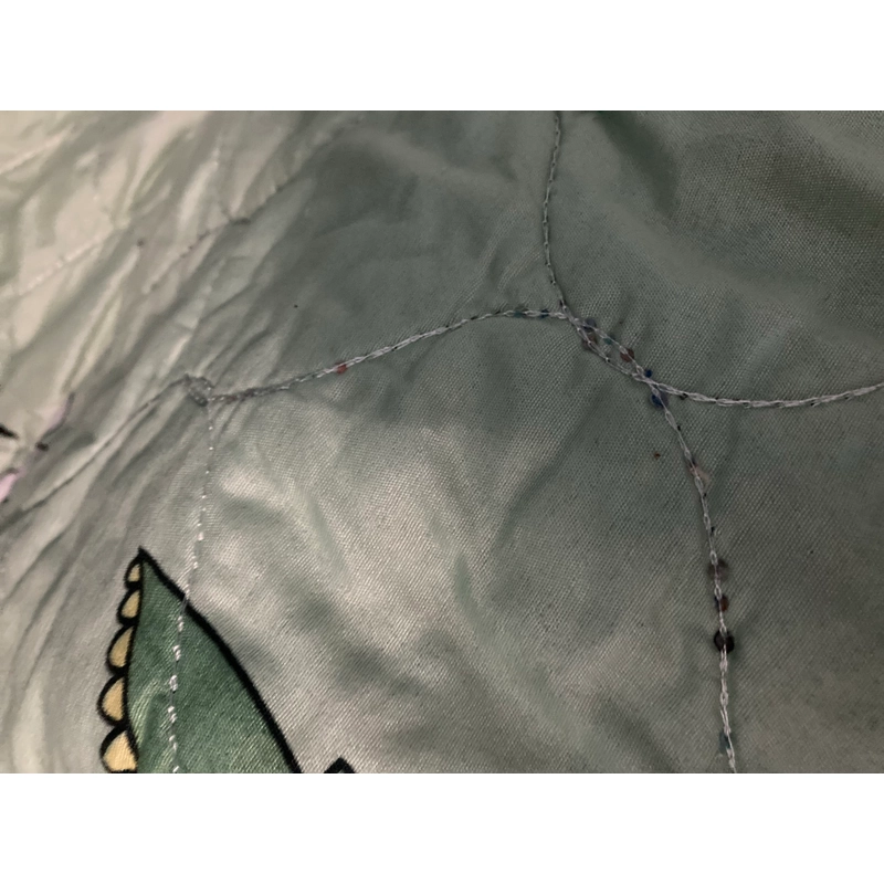 Mền xanh khủng long 552362