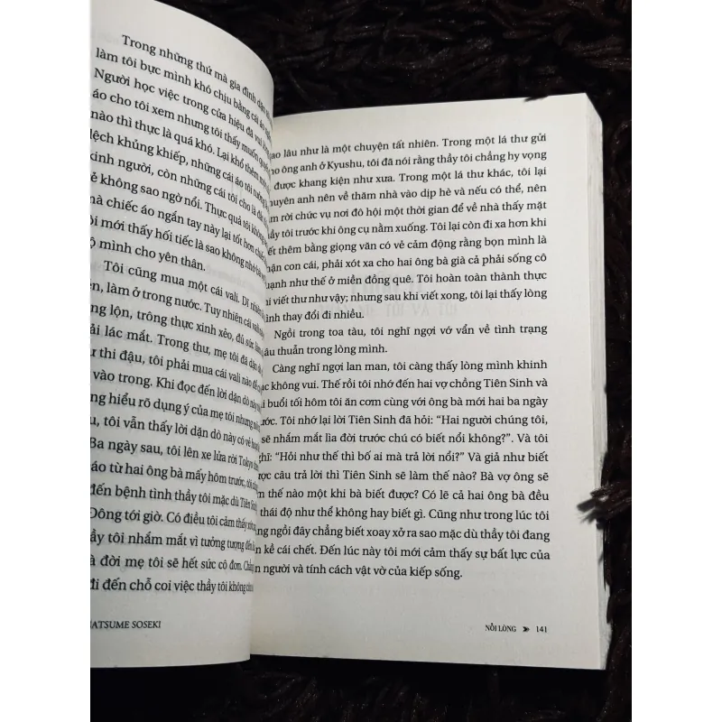 Combo Nỗi Lòng + Gối đầu lên cỏ 1020763