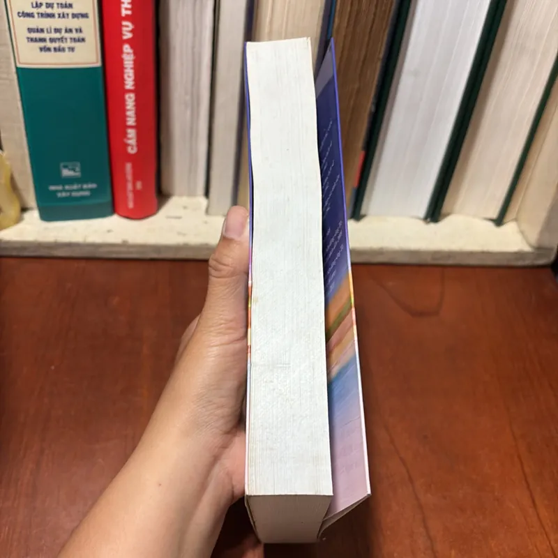 II Chuyện Dã Sử: Chuyện Cũ Bên Dòng Sông Tô - Viên Mai Nguyễn Công Chí - 2010 719513