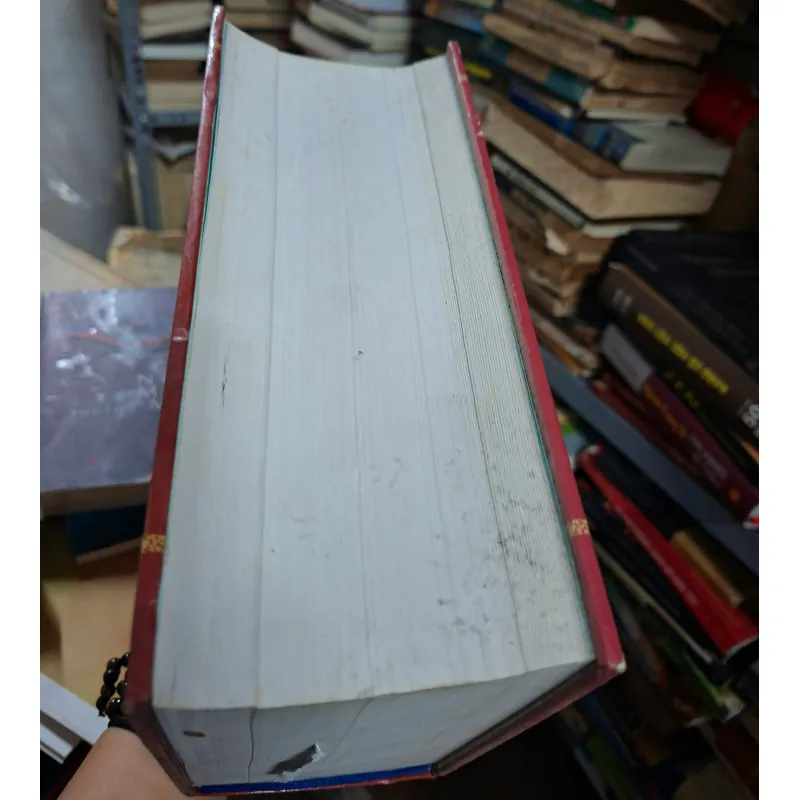 Minh mễnh chính yếu 928732