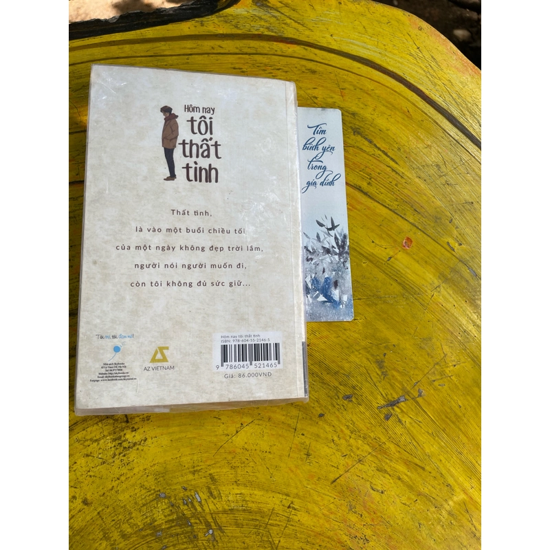 HÔM NAY TÔI THẤT TÌNH- HẠ VŨ 477467