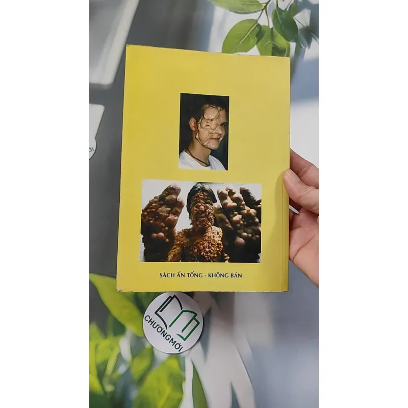 Báo Ứng Hiện Đời - Hạnh Đoan 776114