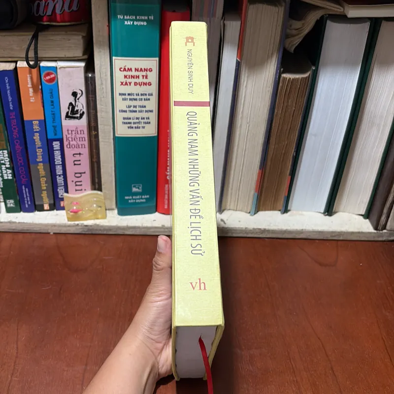II Sách Hay: Quảng Nam _ Những Vấn Đề Lịch Sử - Nguyễn Duy Sinh - 2013 728548