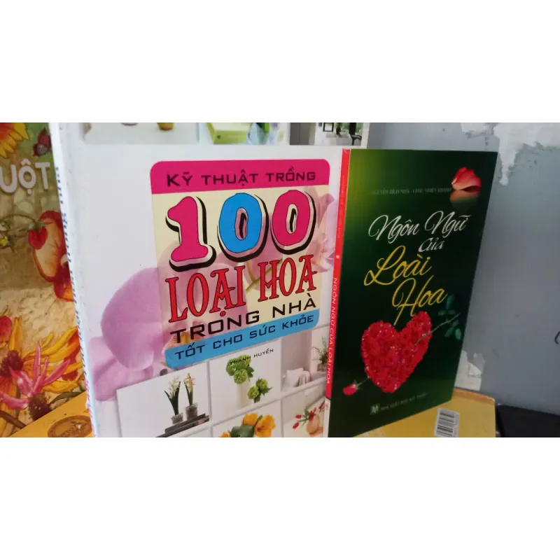 100 loài hoa trồng trong nhà 996653