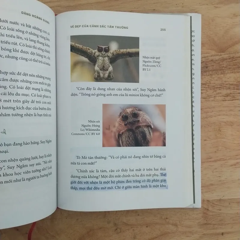 Vẻ đẹp của cảnh sắc tầm thường (cũ - bìa cứng - chữ ký tg) 603651