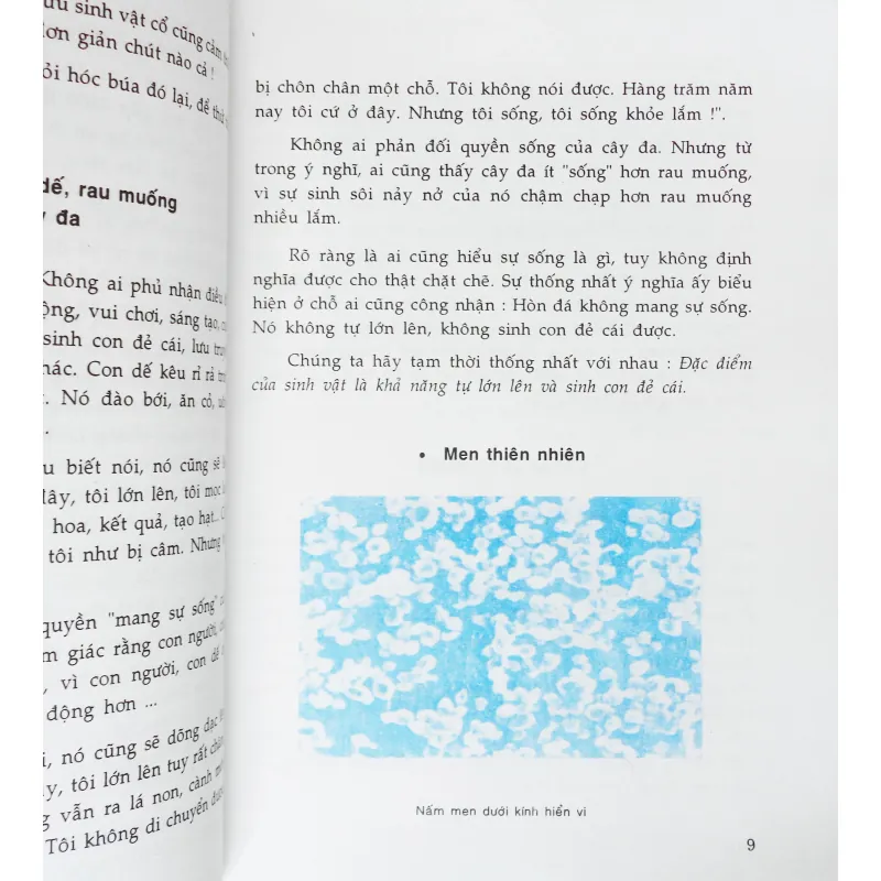 Sự sống - Nguồn gốc và quá trình tiến hóa 15418