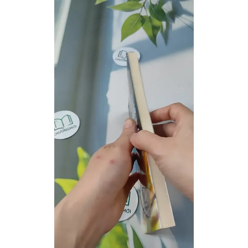 Đưa Đức Phật Vào Nơi Làm Việc - Franz Metcalf & B.J. Gallagher 727221