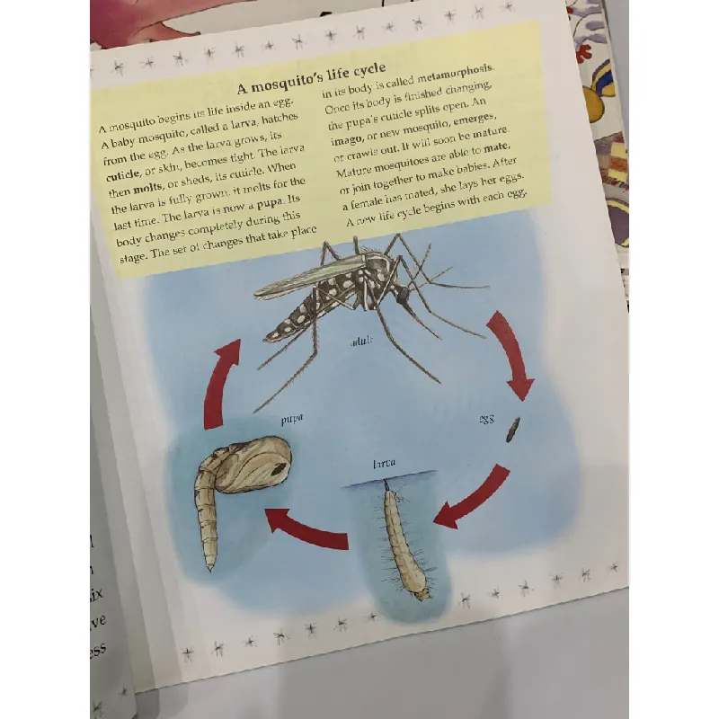 The Life Cycle of a Mosquito – Bobbie Kalman 559686