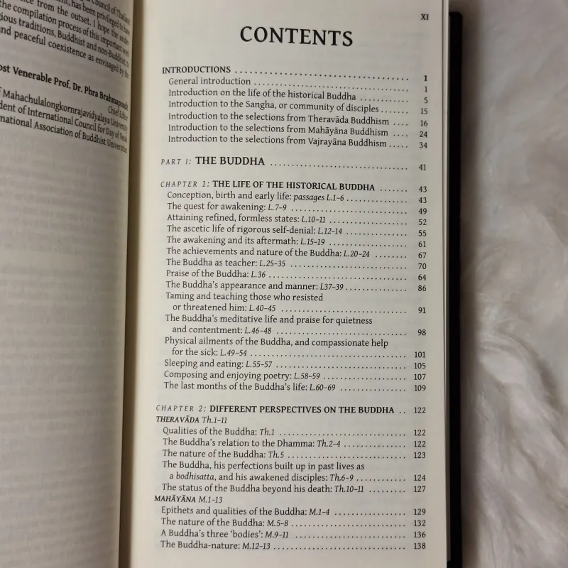 Common Buddhist Text - Guidance and Insight from the Buddha (Phật Điển Phổ Thông) 783197