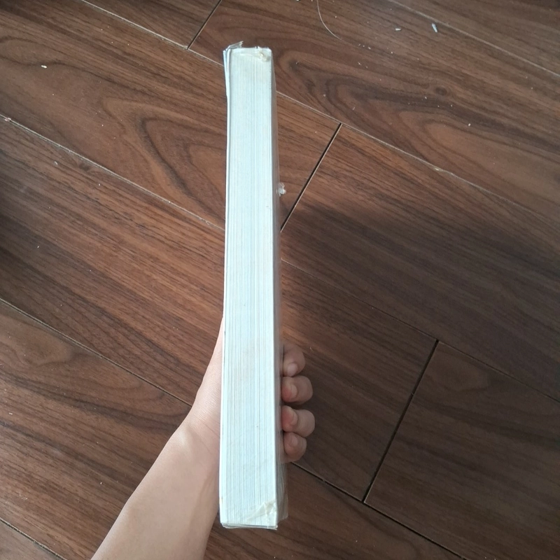 Anh chồng nhỉ đáng yêu của tôi 509978