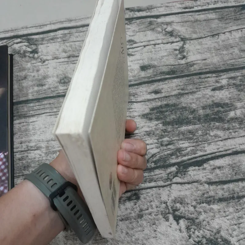 Hoa tay đất Việt. Nguồn gốc nghề thủ công truyền thống. TG Vũ Từ Trang 745517