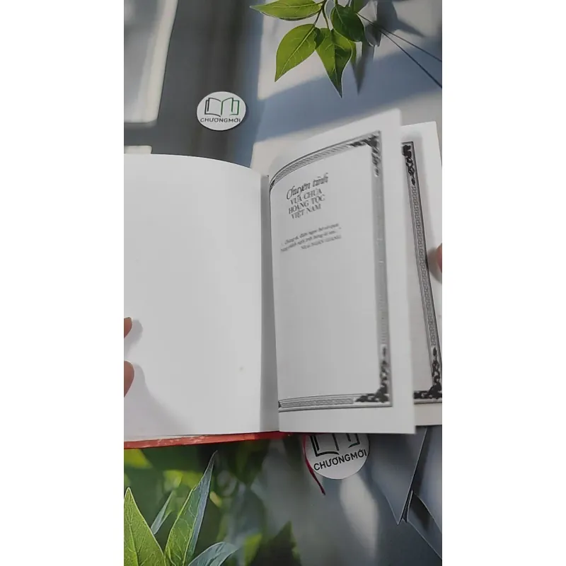 Chuyện Tình Vua Chúa Hoàng Tộc Việt Nam - Đinh Công Vĩ 990453