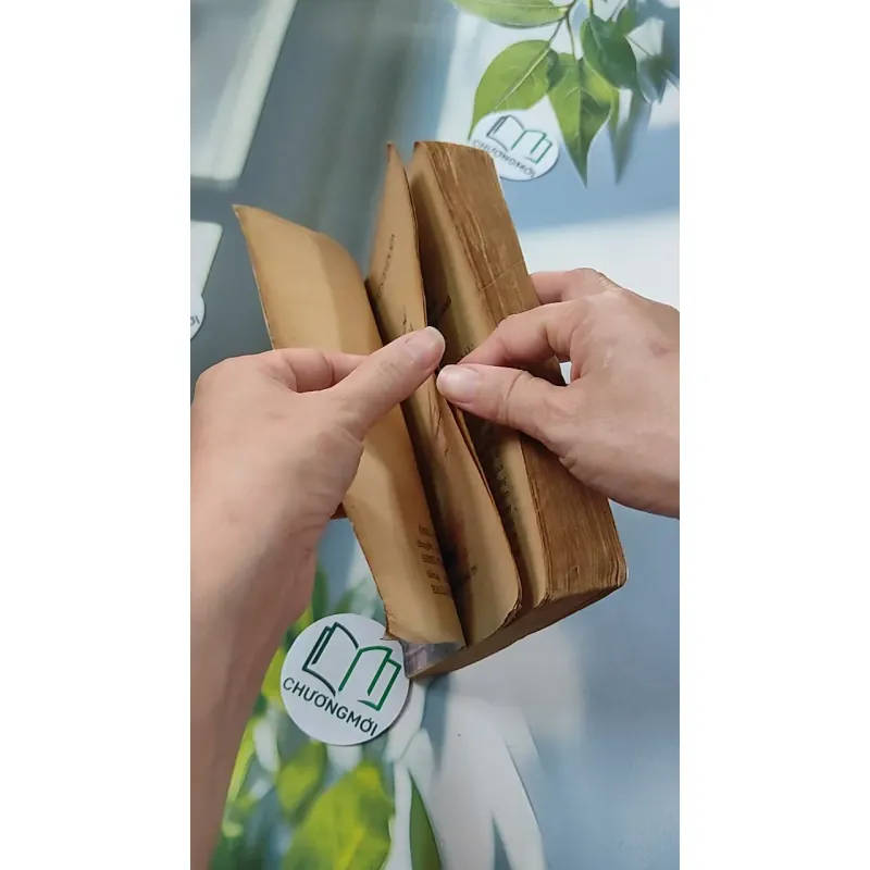 [XƯA] Ông Chủ Ballantra (1990) - Robert Louis Stevenson 776098