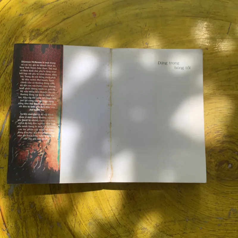 ĐỨNG TRONG BÓNG TỐI - SHANNON MCKENNA 937332