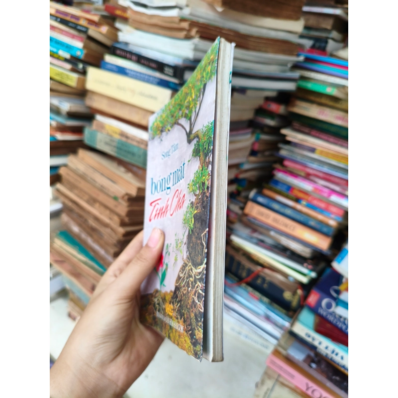 Bóng mát tình cha 🌱 463248