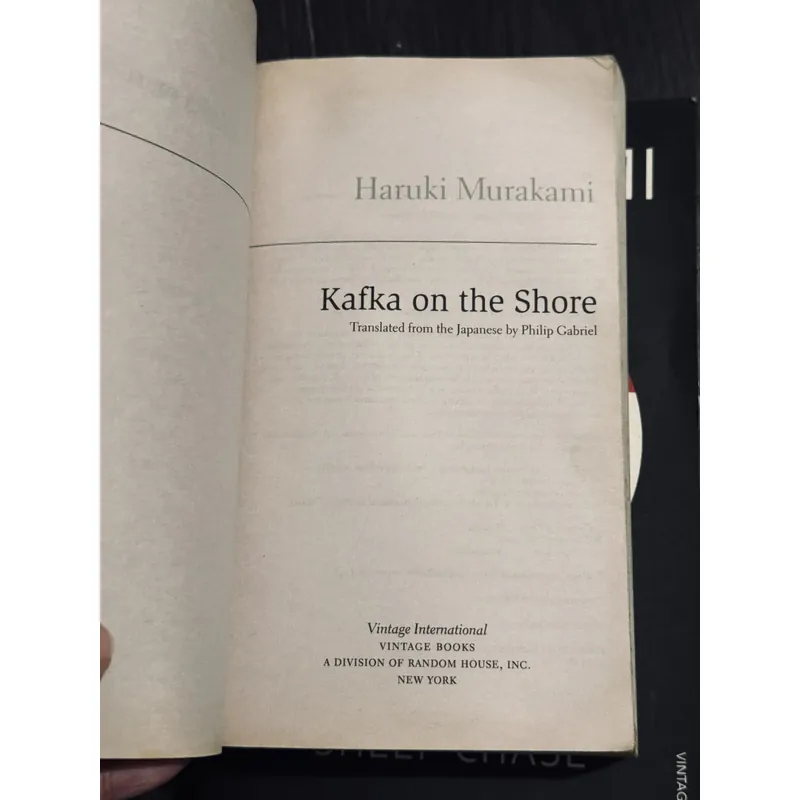 Combo 2 cuốn Haruki Murakami 590329