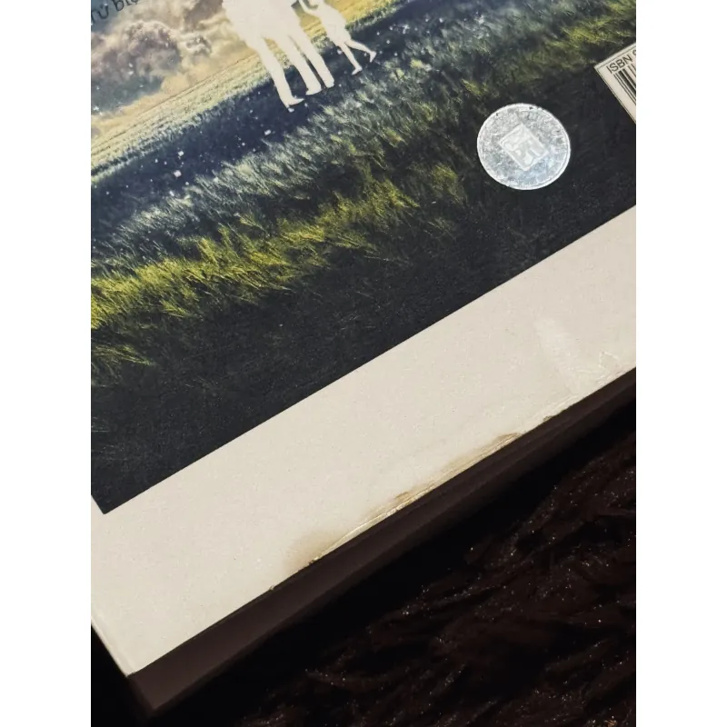 Nữ phi công 995148