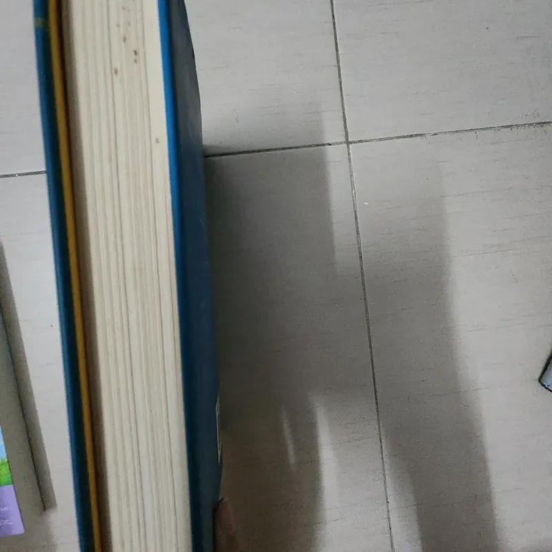 Sách The Warden's daughter 716924