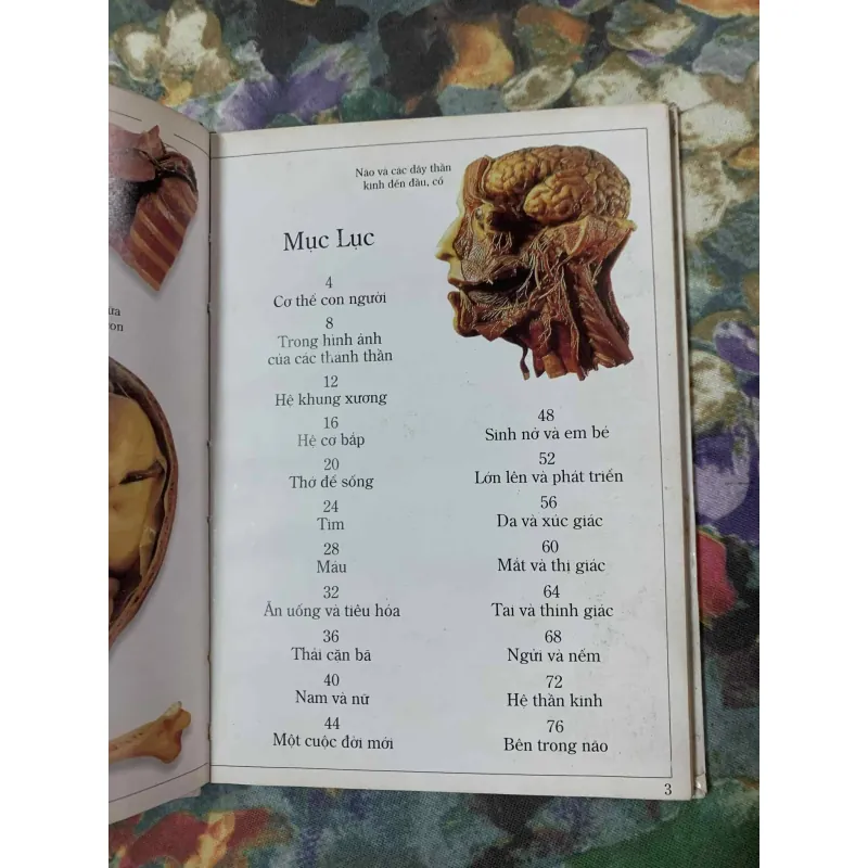 Cơ Thể Con Người, Bìa Cứng 564875