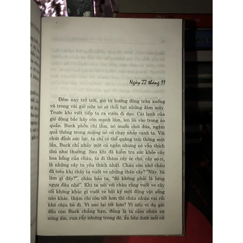 Hãy bước đi như con tim mách bảo - Susanna Tamaro 991577