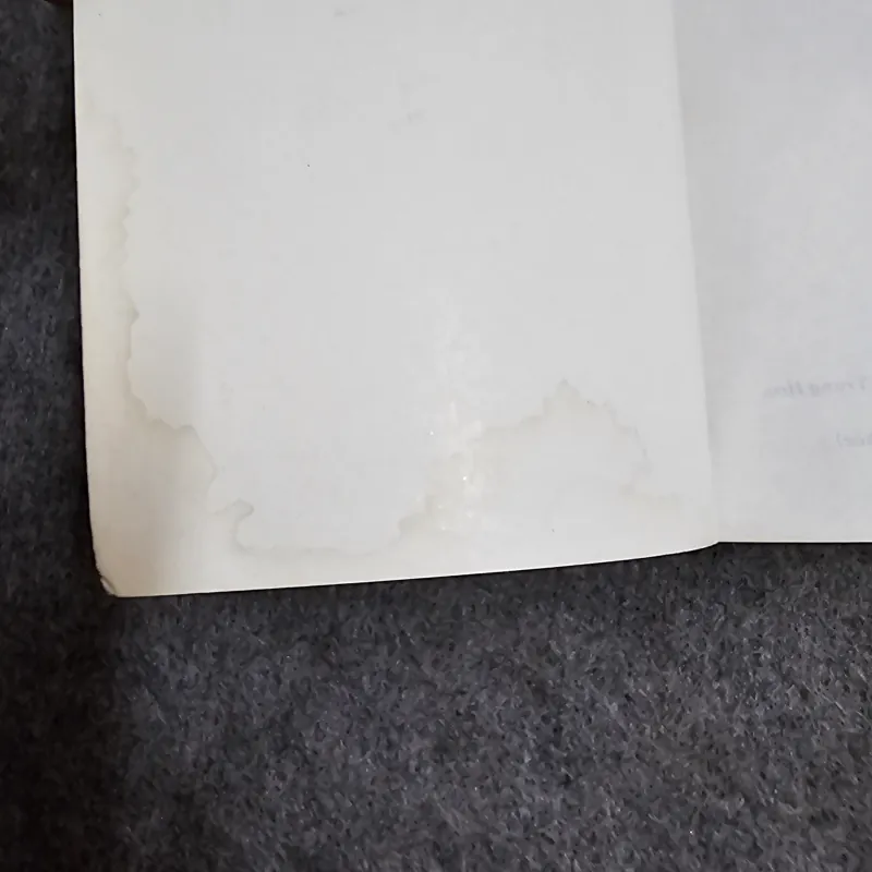 Cha thánh - Mario Puzo 1004983