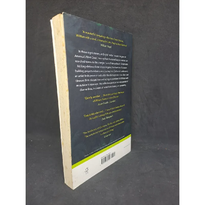 The Burning Ground - Adam O'riordan mới 80% HCM1207 341307