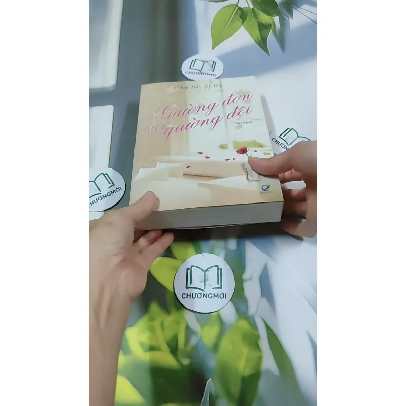 Giường Đơn Hay Giường Đôi - Cầm Sắt Tỳ Bà 744730