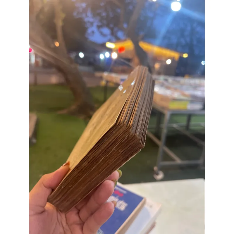 LỊCH SỬ PHẬT GIÁO VIỆT NAM - NGUYỄN TÀI THƯ chủ biên 1027392