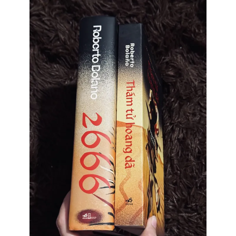 Combo 2666 + thám tử hoang dã 957714