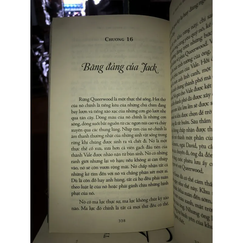 Sự thật về hòn đá phù thủy  994651