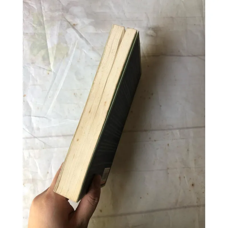 Gatsby Vĩ Đại - F. Scott Fitzgerald (song ngữ Anh Việt) 751568