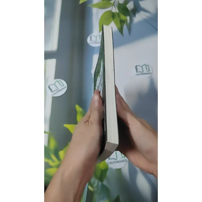 Mở Cửa Trái Tim - Ajahn Brahm 961161