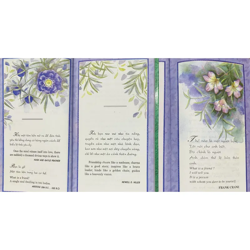 Friendship - Tình Bạn 1027458