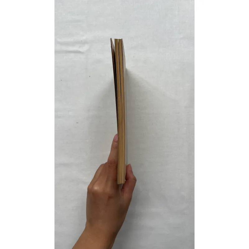 In the Shadow of the American Embassy  786823