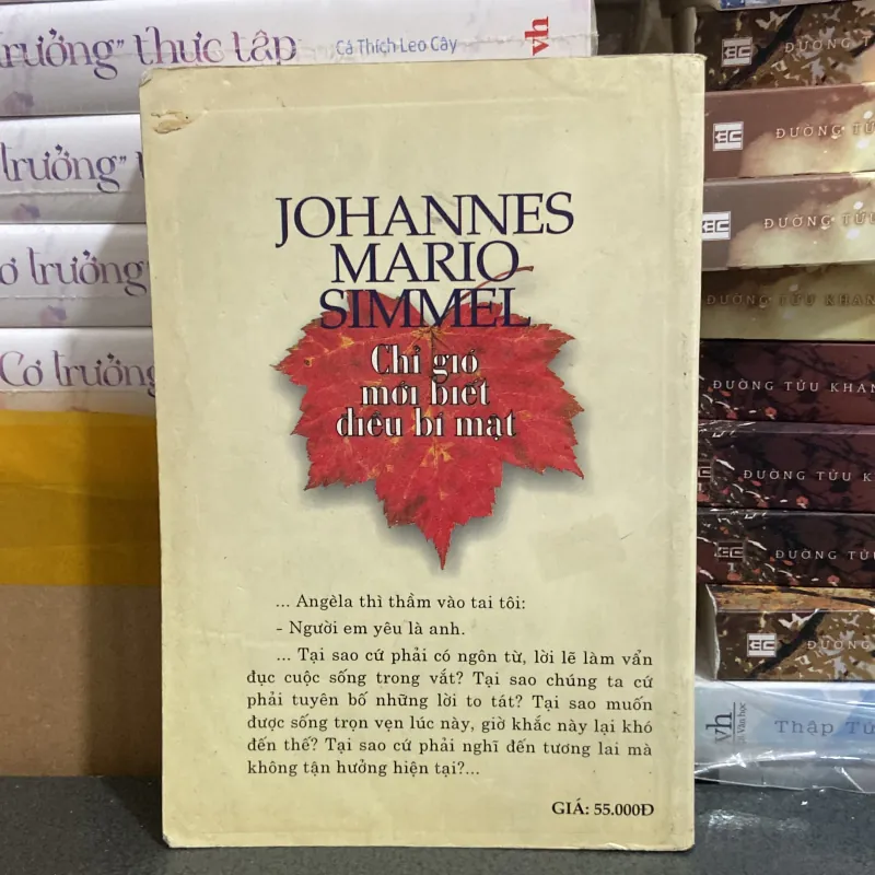 (Văn học) - Chỉ gió mới biết điều bí mật - Johannes Mario Simmel 976112