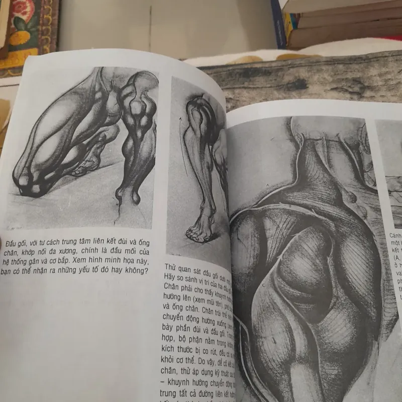 Sách dạy vẽ mỹ thuật. Người chuyển động.  695468