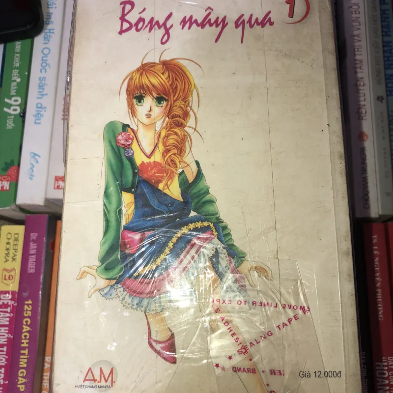 Bóng may qua - Hwang Mi Ri 778157