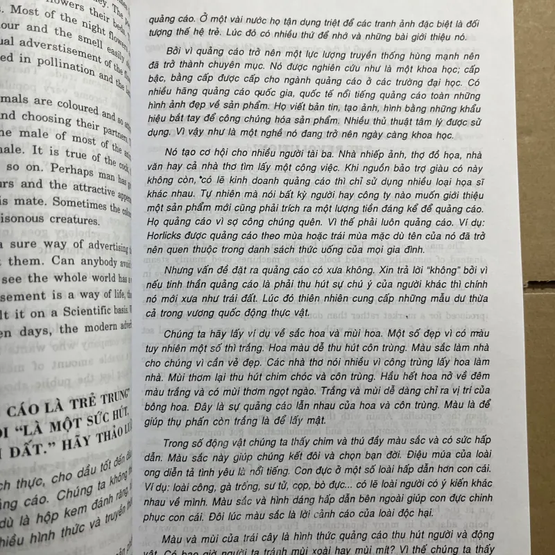 Tuyển chọn 250 bài luận mẫu tiếng anh 970030