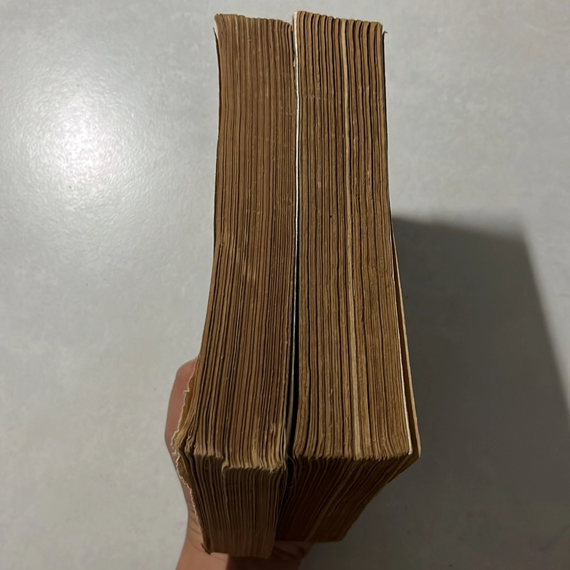 Người tù khổ sai Papillon — Cao Xuân Hạo dịch — 1998s 495456
