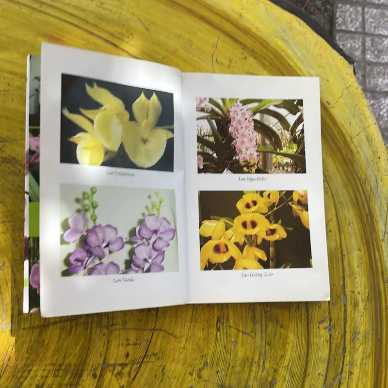 COMBO TRỒNG HOA CÂY CẢNH TRONG GIA ĐÌNH & KỸ THUẬT TRỒNG HOA LAN 929941